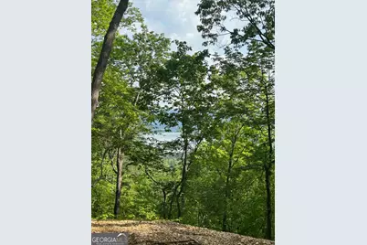 324 Adair Drive, Ranger, GA 30734 - Photo 3