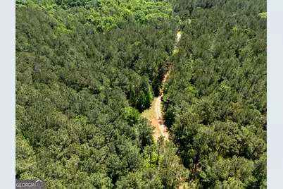 3678 Lundberg Road, Washington, GA 30673 - Photo 5