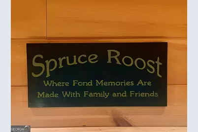 433 Spruce Circle, Mineral Bluff, GA 30559 - Photo 7