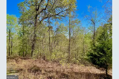 691 Railey Ridge Lane, Ranger, GA 30734 - Photo 25