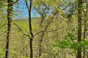 691 Railey Ridge Ln, Ranger, GA 30734 - Photo 1