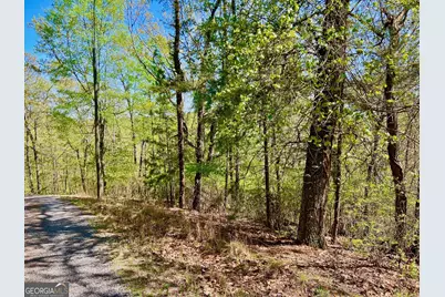 691 Railey Ridge Lane, Ranger, GA 30734 - Photo 19