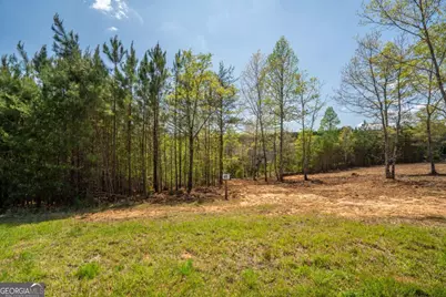 Lot 41 Sandy Lake Lane, Blairsville, GA 30512 - Photo 7