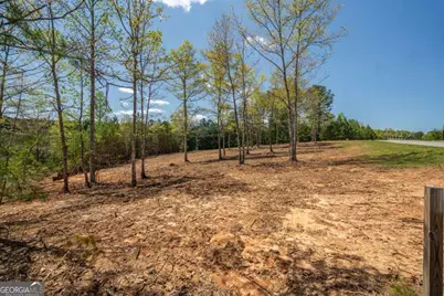 Lot 41 Sandy Lake Lane, Blairsville, GA 30512 - Photo 5