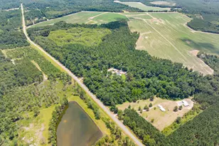 480 Best Bridge Rd, Sylvania, GA 30467 - Photo 45