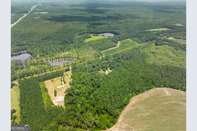 480 Best Bridge Road, Sylvania, GA 30467 - Photo 47