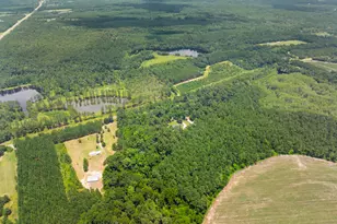 480 Best Bridge Rd, Sylvania, GA 30467 - Photo 47