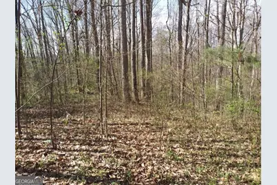 620 Ivy Creek Drive, Nicholson, GA 30565 - Photo 3