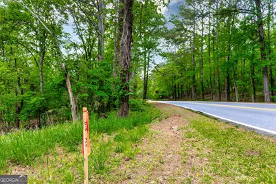 221 N Cove Drive, Peachtree City, GA 30269 - Photo 23