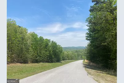 133 Lakeview Walk, Baldwin, GA 30511 - Photo 3