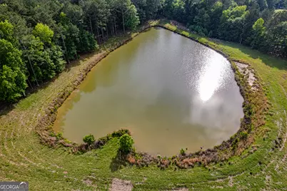 603 Pea Ridge Road, Eatonton, GA 31024 - Photo 77