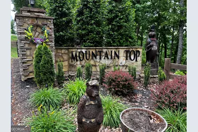 Lot 103 Highland Park, Blairsville, GA 30512 - Photo 37