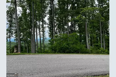 Lot 103 Highland Park, Blairsville, GA 30512 - Photo 25