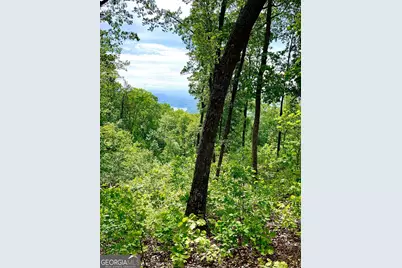 Lot 103 Highland Park, Blairsville, GA 30512 - Photo 3