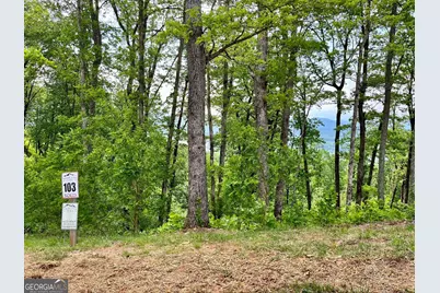 Lot 103 Highland Park, Blairsville, GA 30512 - Photo 11