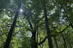 5245 Veal Rd, Fairburn, GA 30213 - Photo 1