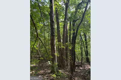 5245 Veal Road, Fairburn, GA 30213 - Photo 3