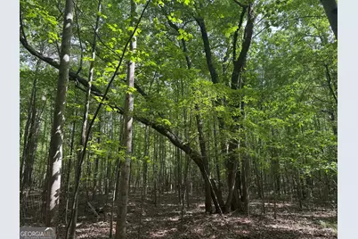 5245 Veal Road, Fairburn, GA 30213 - Photo 9