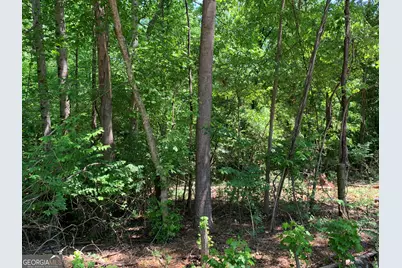 1030 Chambers Court, Watkinsville, GA 30677 - Photo 3