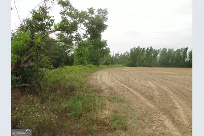 08600022T3 Redbird Road, Lumber City, GA 31549 - Photo 7