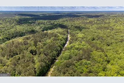 37.23 Acres / 0 Smokey Road, Lagrange, GA 30241 - Photo 3