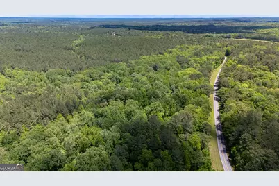 37.23 Acres / 0 Smokey Road, Lagrange, GA 30241 - Photo 5