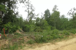 08600008T6 Hayride Rd, Lumber City, GA 31549 - Photo 1