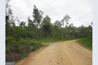 08600008T6 Hayride Road, Lumber City, GA 31549 - Photo 3