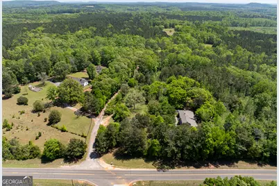 324 Acres Hunsinger Road, Shiloh, GA 31826 - Photo 5