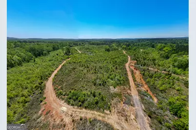 324 Acres Hunsinger Road, Shiloh, GA 31826 - Photo 23