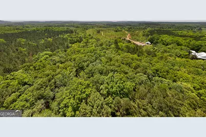 324 Acres Hunsinger Road, Shiloh, GA 31826 - Photo 21
