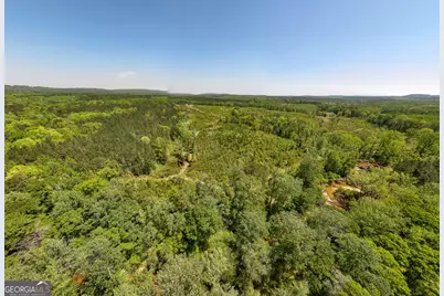 324 Acres Hunsinger Road, Shiloh, GA 31826 - Photo 13