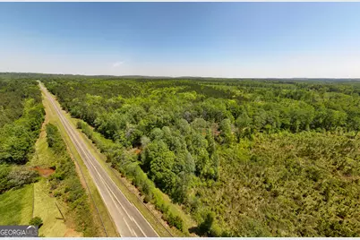 324 Acres Hunsinger Road, Shiloh, GA 31826 - Photo 11