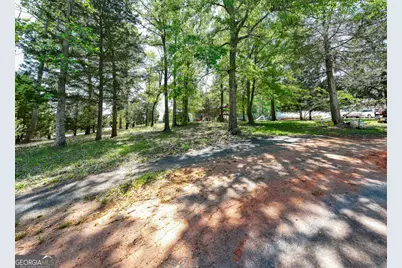 324 Acres Hunsinger Road, Shiloh, GA 31826 - Photo 45
