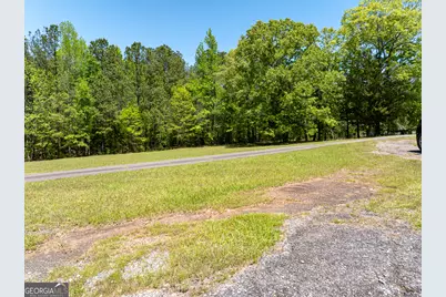 324 Acres Hunsinger Road, Shiloh, GA 31826 - Photo 29