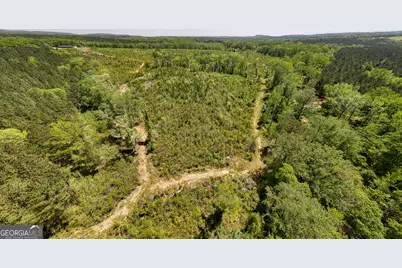 324 Acres Hunsinger Road, Shiloh, GA 31826 - Photo 15