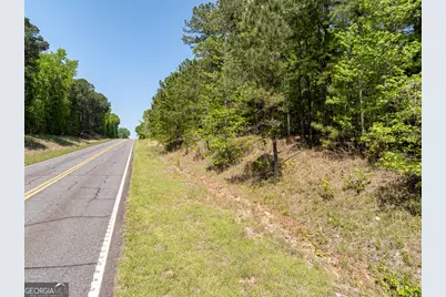 324 Acres Hunsinger Road, Shiloh, GA 31826 - Photo 59