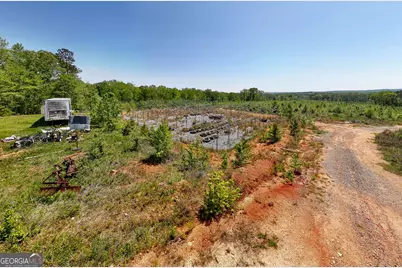 324 Acres Hunsinger Road, Shiloh, GA 31826 - Photo 41