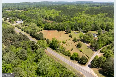 324 Acres Hunsinger Road, Shiloh, GA 31826 - Photo 3