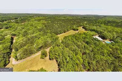 324 Acres Hunsinger Road, Shiloh, GA 31826 - Photo 19