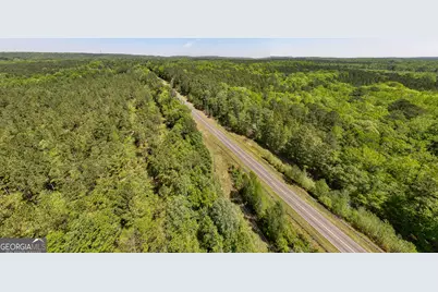 324 Acres Hunsinger Road, Shiloh, GA 31826 - Photo 9