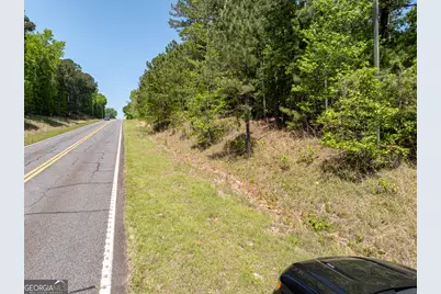 324 Acres Hunsinger Road, Shiloh, GA 31826 - Photo 57