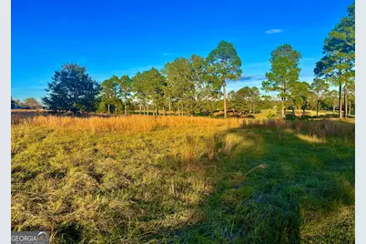 41 Crabapple Drive, Hawkinsville, GA 31036 - Photo 3