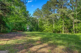 20207 Ga Hwy 11 N, Monticello, GA 31064 - Photo 155