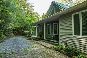 61 Amelia Ln, Blue Ridge, GA 30513 - Photo 3