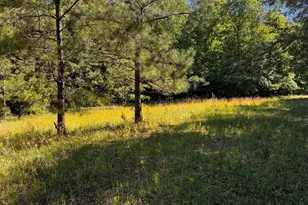 164 New Harmony Church Rd, Thomaston, GA 30286 - Photo 35