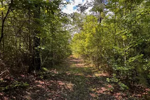 164 New Harmony Church Rd, Thomaston, GA 30286 - Photo 43