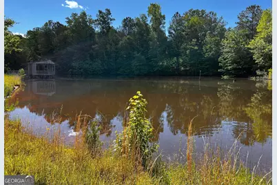 164 New Harmony Church Road, Thomaston, GA 30286 - Photo 37