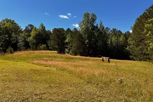 164 New Harmony Church Rd, Thomaston, GA 30286 - Photo 41