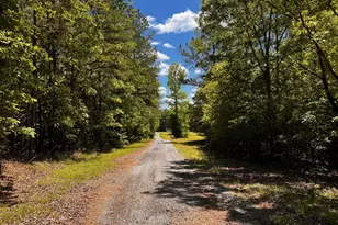 164 New Harmony Church Rd, Thomaston, GA 30286 - Photo 31